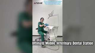 Panda Versiyonu 8 Işıklı Lambalı Mobil Veteriner Diş Tedavi İstasyonu | Modeli AP201-5