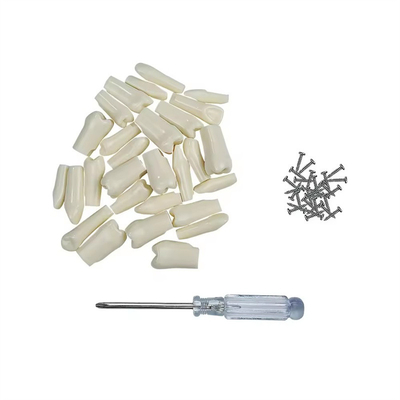 32 adet / Set Diş Tipodont Yedek Diş Diş Hekimliği Öğrenci Uygulama Araçları Sertlik Reçine Diş