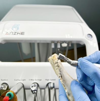 Diş Fabrikası 220V hava kompresörü ile evcil hayvan diş tedavisi ekipmanları AB Standart Veteriner taşınabilir diş ünitesi