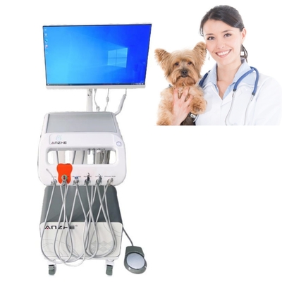 Veterinerlik Tedavi Ekipmanı için Mobil Diş İşleme Masası Hayvan Diş Bakımı Mobil Diş Arabaları