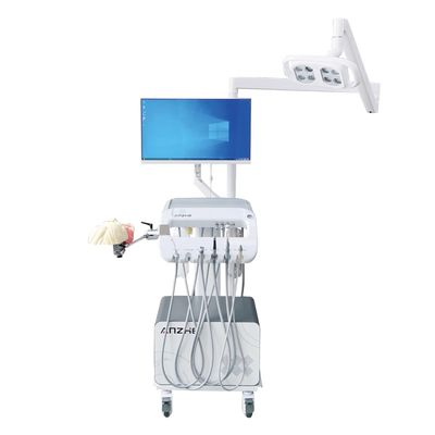 Diş Hekimliği Öğrenci Eğitim Çözümü Diş Hekimliği Fakültesi Ekipmanı Diş Fantom Başlığı Eğitim için Diş Simülatörü