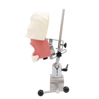 Diş Simülatörü Eğitim Ünitesi Diş Hekimliği Fakültesi Simülasyon Uygulama Sistemi Diş İmplantı Fantom Baş