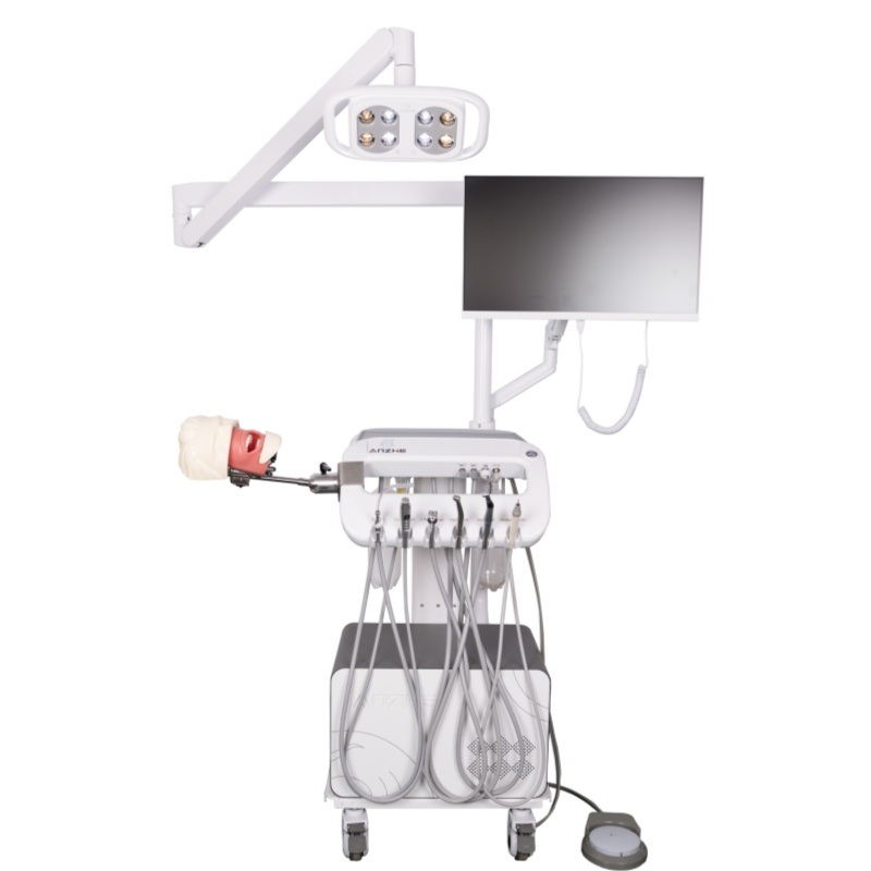 Diş Anestezisi Çekim Modeli Diş Hekimliği Fakültesi Anestezi Enjeksiyon Eğitim Modeli Ağız Anestezisi Simülatör Sistemi