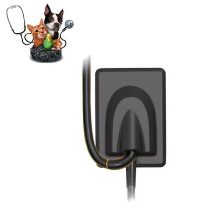 İyi bir fiyat. Veteriner Diş Ekipmanları Dijital Röntgen Görüntüleme Sistemi Evcil Hayvan Dişleri Röntgen Sensörü RVG çevrimiçi