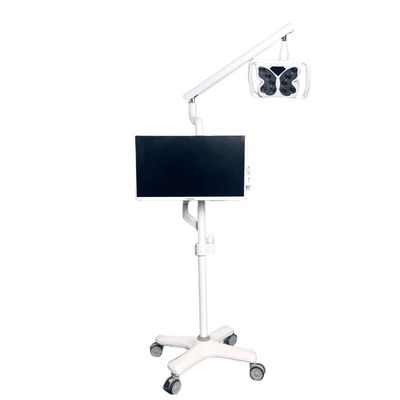 İyi bir fiyat. 4 Evrensel Tekerlekli Soğuk Işık Diş Beyazlatma Sistemi Kelebek Şeklinde Diş Beyazlatma Ekipmanı çevrimiçi