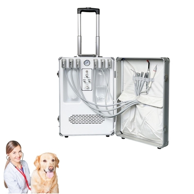 Elde Tutulan Veteriner Diş Ekipmanı Evcil hayvanlar Diş Tedavisi Çanta Hayvan Diş Bakımı Veteriner Mobil Diş Tedavisi Birimi
