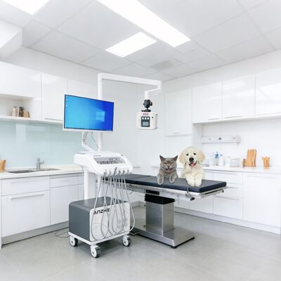 İyi bir fiyat. X ışını ve PC mobil diş arabası ile taşınabilir diş tedavisi birimi çevrimiçi