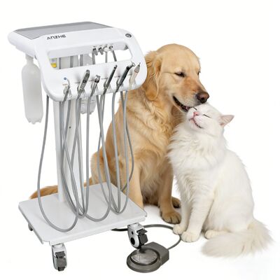 Veteriner Diş Arabası Evcil Hayvan Diş Tedavi Arabası Taşınabilir Veteriner Diş Ünitesi Köpek ve Kedi Diş Temizleme Ekipmanı