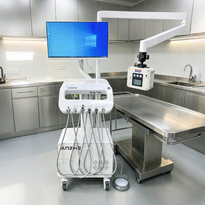 İyi bir fiyat. Taşınabilir Veteriner Diş Ünitesi, X-ray ve Sensör Hepsi Bir Arada Mobil Veteriner Diş Ekipmanı, Hayvan Kliniği için Hava Kompresörü ve Aspirasyon Sistemi çevrimiçi