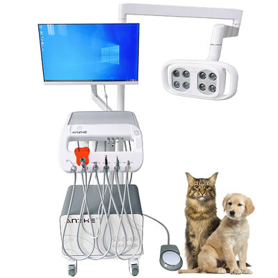 İyi bir fiyat. Fabrika Doğrudan Veteriner Taşınabilir Diş Ünitesi LED Lampa Hava Kompresörü Emme Sistemi ile Mobil Diş Arabası Veteriner Kliniği ve Diş Muayenehanesi İçin çevrimiçi