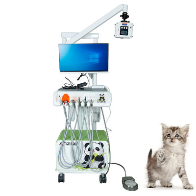 İyi bir fiyat. Orijinal Fabrika Veteriner Dijital Ağız İçi Sensör Plug-and-Play Tam donanımlı Evcil hayvanlar kliniği için yüksek çözünürlüklü röntgen çevrimiçi