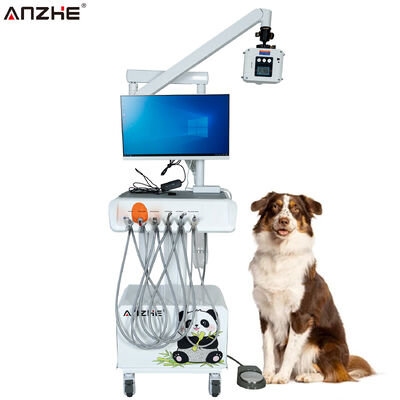 İyi bir fiyat. Taşınabilir Veteriner Diş Ünitesi, X Ray Makinesi, Dijital Sensör, HD Ağız İçi Kamera, Dokunmatik Ekranlı Bilgisayar ve Hayvan Diş Kliniklerine Yönelik Hava Kompresörü çevrimiçi