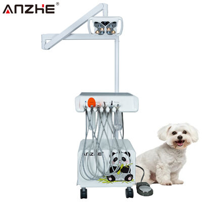 Taşınabilir Veteriner Dental Ünite, Kelebek LED Lamba, Dahili Hava Kompresörü, Ultrasonik Scaler, LED Işık Kürleme, Emiş Sistemi, Mobil Hayvan Dental İstasyonu