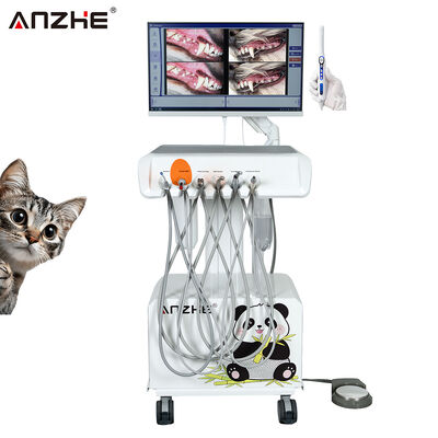 İyi bir fiyat. HD Oral Kamera ve All In One Bilgisayarlı Taşınabilir Veteriner Diş Hekimliği Birimi Hava Kompresörü İçeriği Veteriner Diş İş İstasyonu Hayvan Diş Hekimliği Klinikleri için çevrimiçi