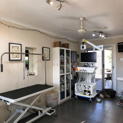 İyi bir fiyat. 550W Veteriner Diş Ünitesi, Hayvan Diş Kliniklerinde Kullanım İçin 0.8Mpa Basınç ve 58DB Gürültü Seviyesi çevrimiçi